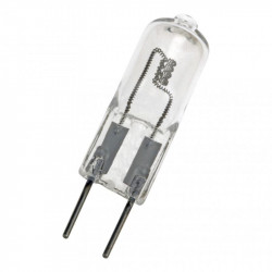 Bailey P024007568614