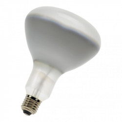 Bailey P240PF318E44/12