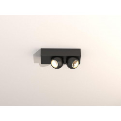 TAL 456502