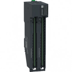 SCHNEIDER NTSDDI1602X