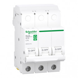 SCHNEIDER R9FEC316