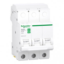 SCHNEIDER R9FEC325