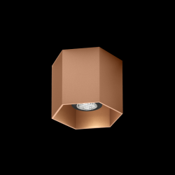 WEVER & DUCRE 146520P0