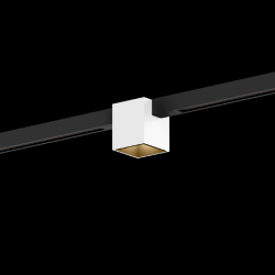 WEVER & DUCRE 258162BWM5