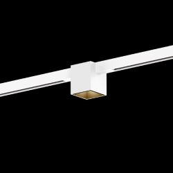 WEVER & DUCRE 258162WWM5