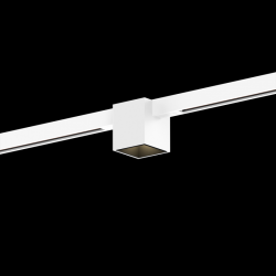 WEVER & DUCRE 258165WE5