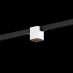 WEVER & DUCRE 258362BE3