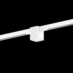 WEVER & DUCRE 258362WW5