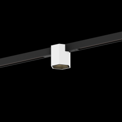 WEVER & DUCRE 258462BE5