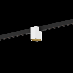 WEVER & DUCRE 258462BJ3