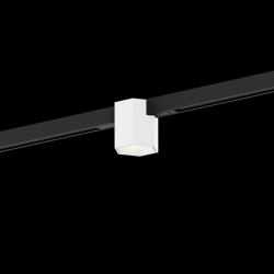 WEVER & DUCRE 258462BW5