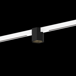 WEVER & DUCRE 258462WB5