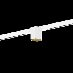 WEVER & DUCRE 258462WJ5