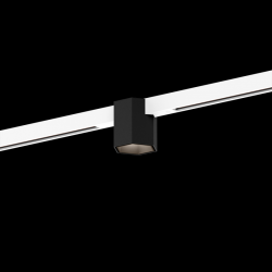 WEVER & DUCRE 258465WBQ5