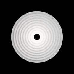 WEVER & DUCRE 336174MF5