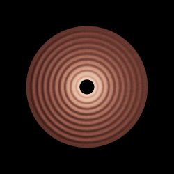 WEVER & DUCRE 336174OF3