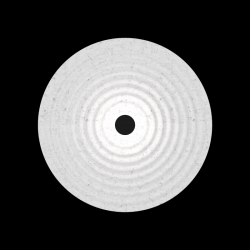 WEVER & DUCRE 33617FMF3