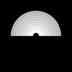 WEVER & DUCRE 336274MF5