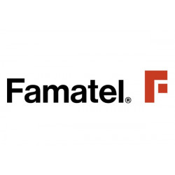 Famatel 25307