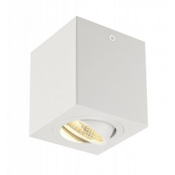 SLV 113941