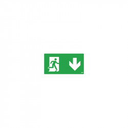 LINERGY L91023-P-SMALL