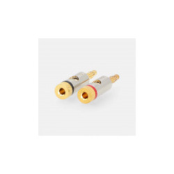 NEDIS CATB26900GD