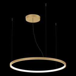 WEVER _ DUCRE 273384M5