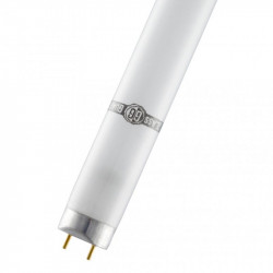 Bailey 140468