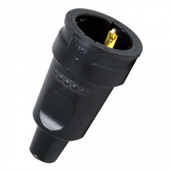 Bailey 142025