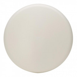 Bailey 142044