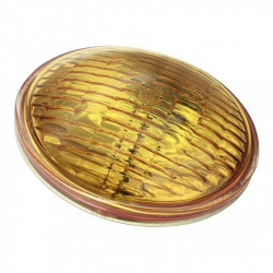 Bailey 142674