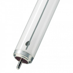 Bailey 143500