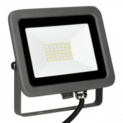 Bailey 145501