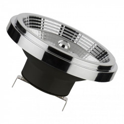 Bailey 145704
