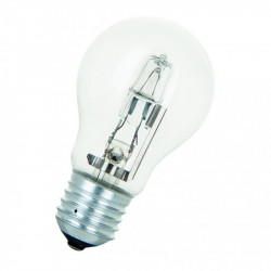 Bailey 20100026091
