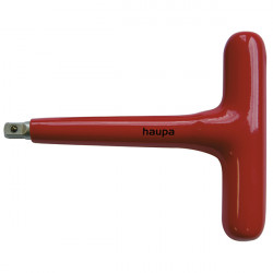 HAUPA 110818