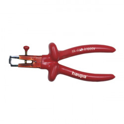 HAUPA 210265