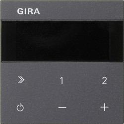 GIRA 232228