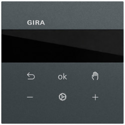 GIRA 539373