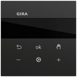 GIRA 539374