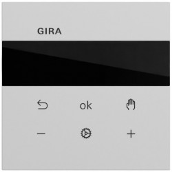 GIRA 539376