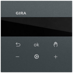 GIRA 539473