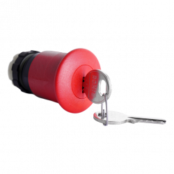 TECONEX BS3P44S3