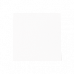 ABB 2CKA001710A4249