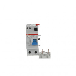 ABB 2CSB202101R5250