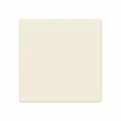 ABB 2CKA006199A0099