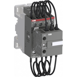 ABB 1SBL171024R8811