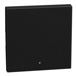 LEGRAND YD4915MH2