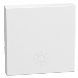 LEGRAND YW4915AM2