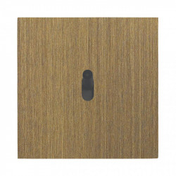 LEGRAND AR67317